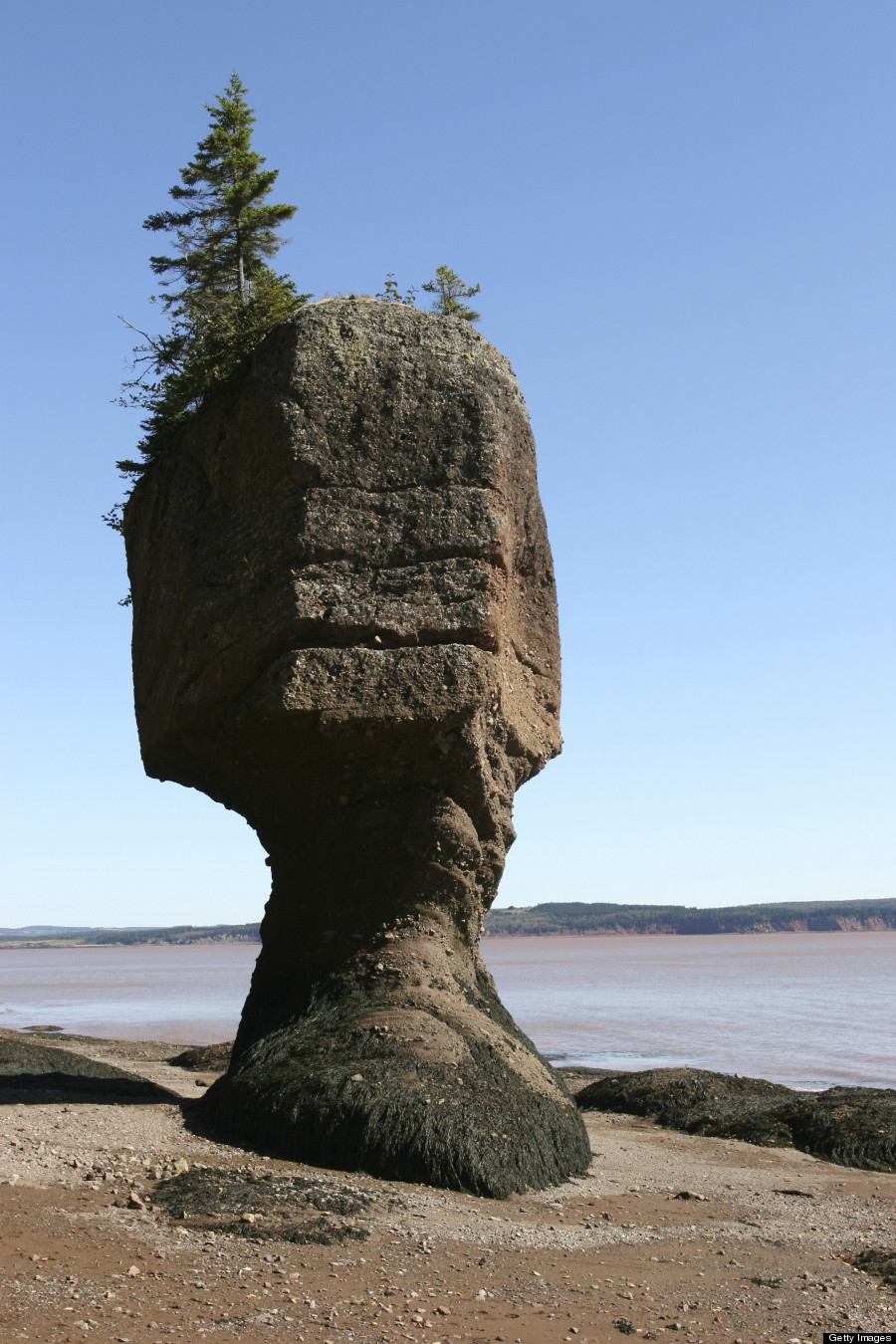 bay of fundy