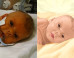 Nathen Steffel Baby Photoshop