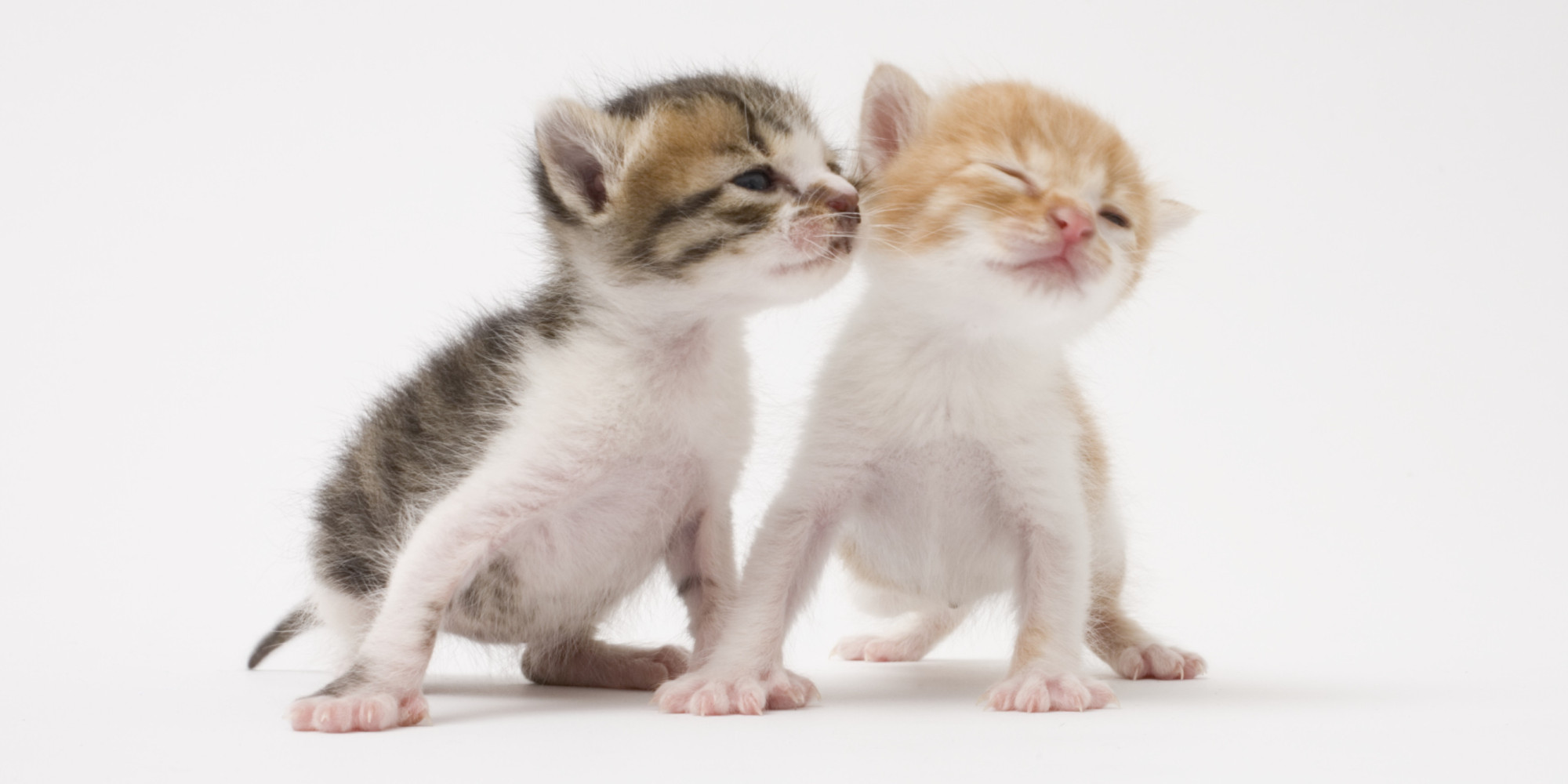 yCzqmHĂX80ysIz []ڋ֎~]©bbspink.com	YouTube>1{ ->摜>275 