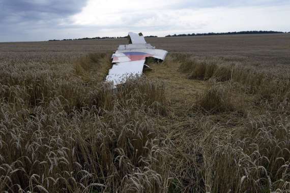 Debris from the plane lies in a wheat field at the site of the crash on July 19, 2014.(ALEXANDER KHUDOTEPLY/AFP/Getty Images) Debris from the plane lies in a wheat field at the site of the crash on July 19, 2014.(ALEXANDER KHUDOTEPLY/AFP/Getty Images)
