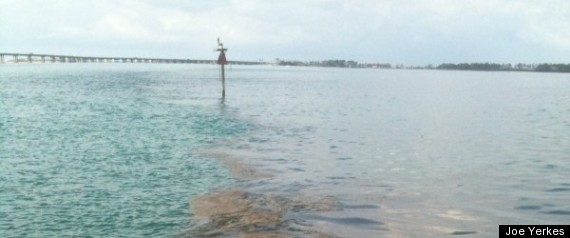Oil Spill