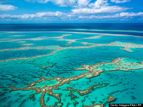 The Great Barrier Reef Won't Look Like This For Long