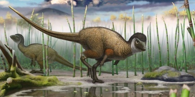 dinosaur that has feathers