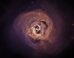 This Mysterious Signal 'Could Not Be Explained By Known Physics,' Astronomers Say