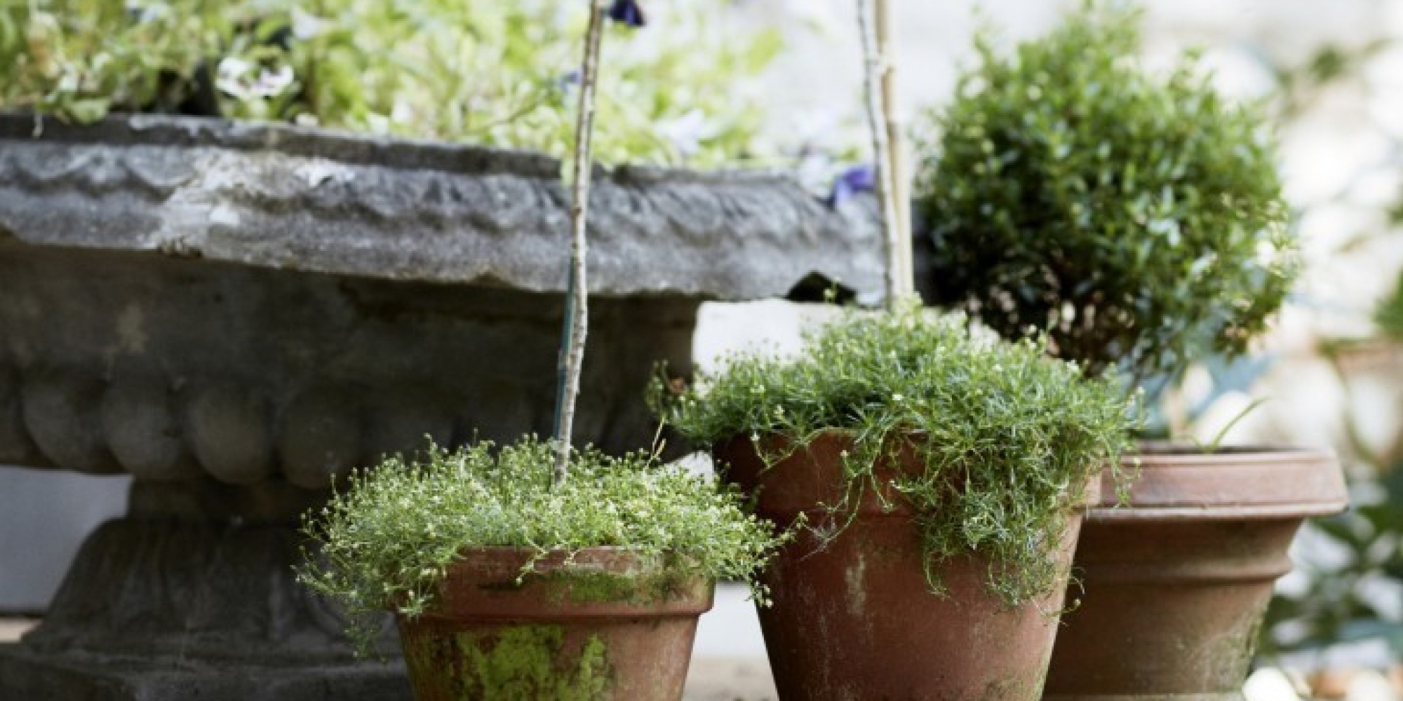 10 Garden Ideas To Steal From France | HuffPost