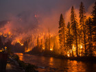 This Photo Shows The Raw Power Of A Raging Wildfire