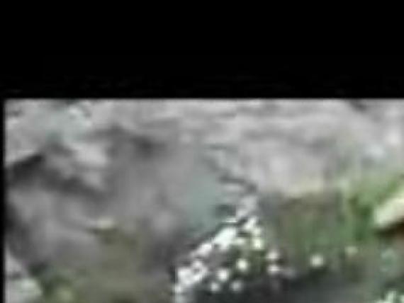 Osama Ad