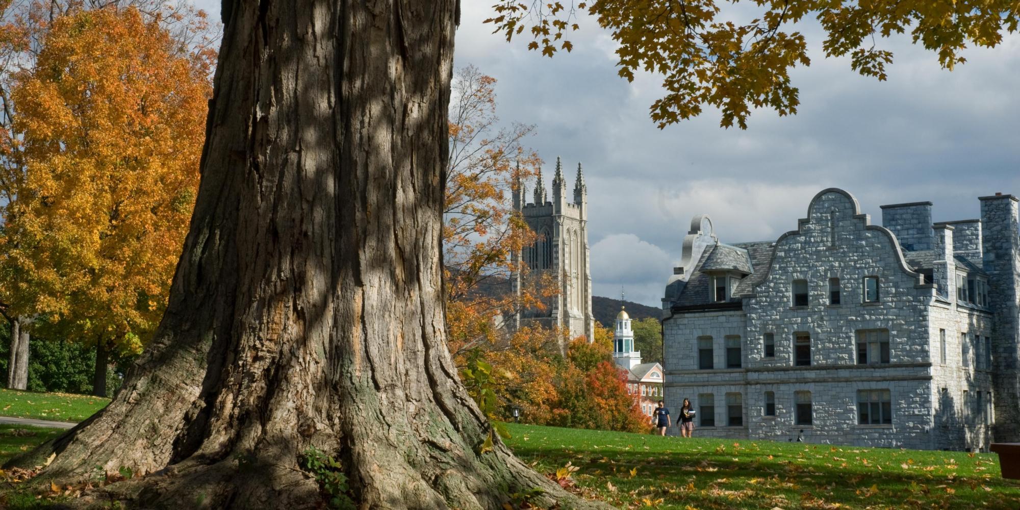 Williams college window essay