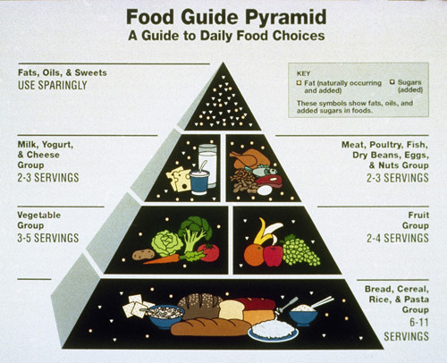 Government Pyramid Diet