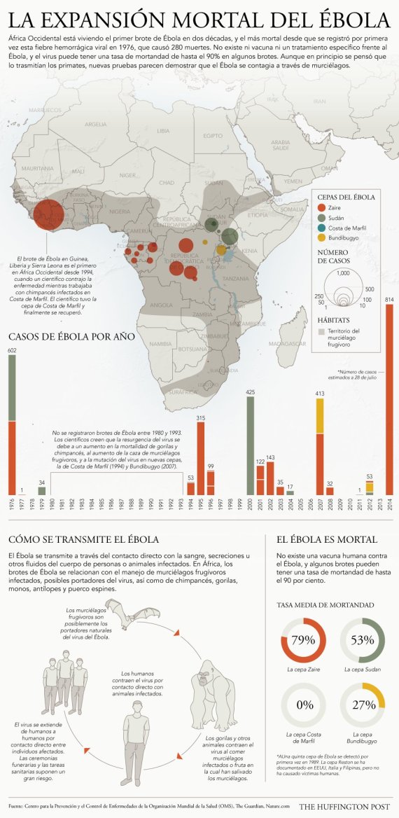 infografia ebola