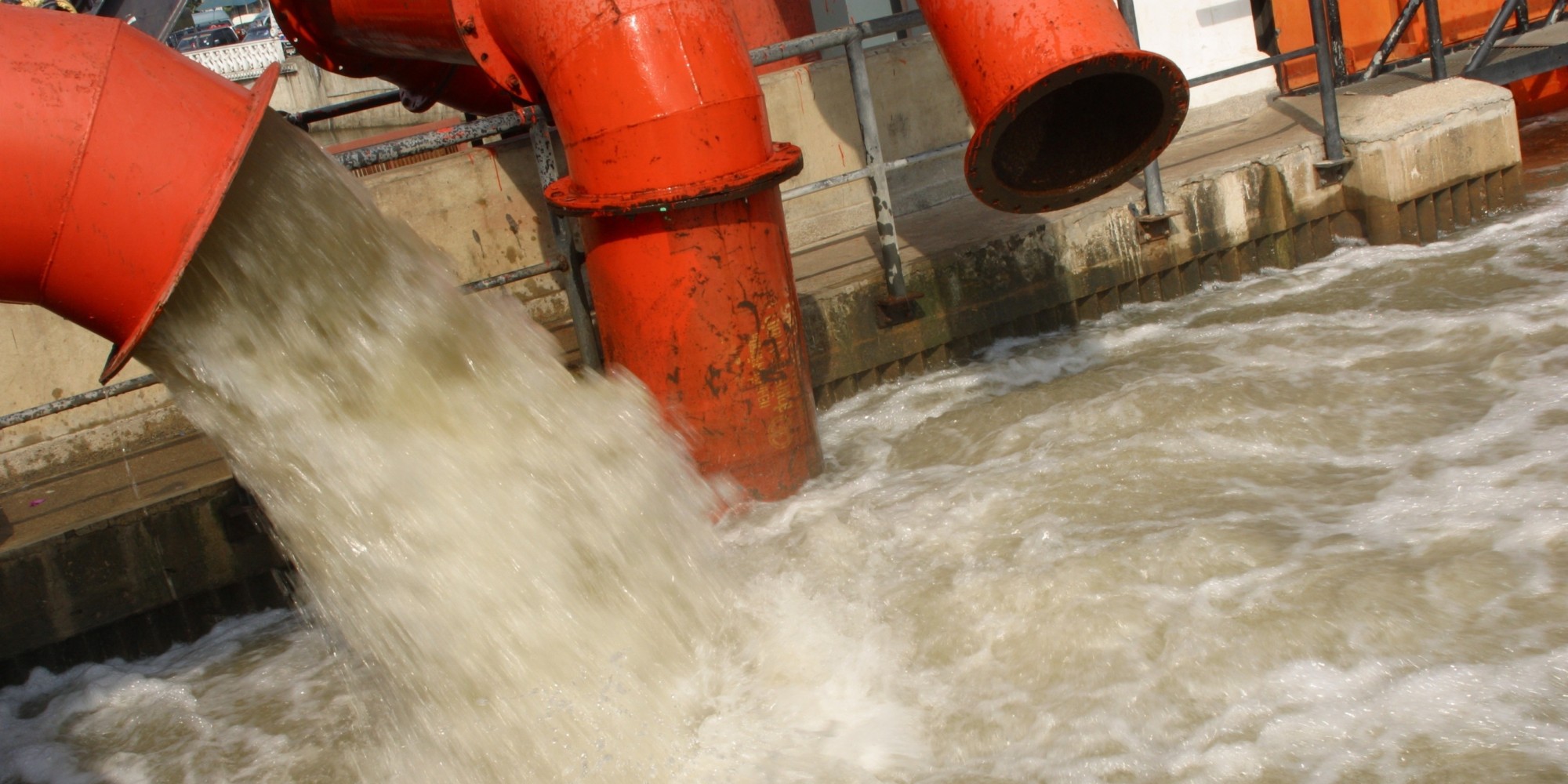 Fancy a Swim in Sewage? Take a Dip in Ottawa River After It Rains