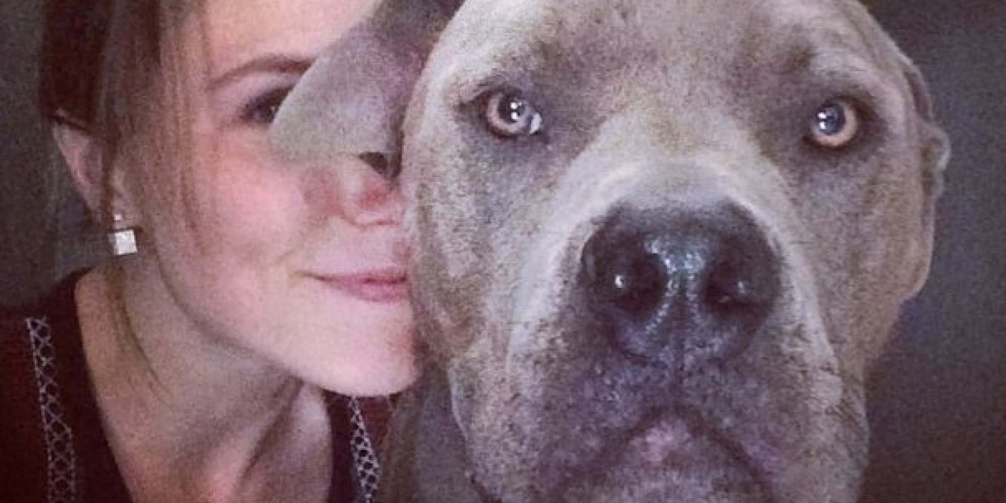 10 Celebrities Who Really Love Their Pit Bulls HuffPost