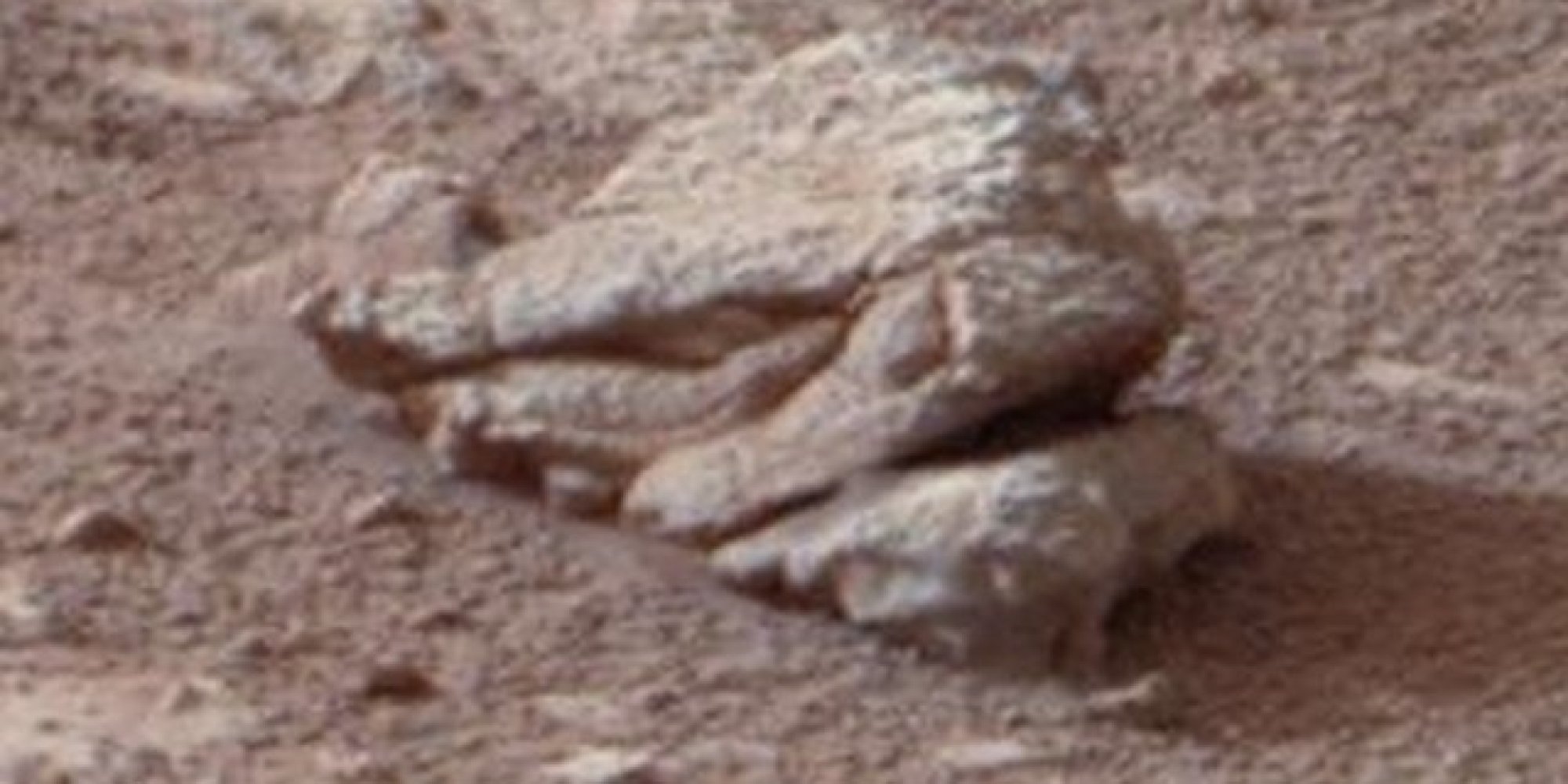 Alien Warrior's 'Mutant Lion Head' Found On Mars HuffPost UK