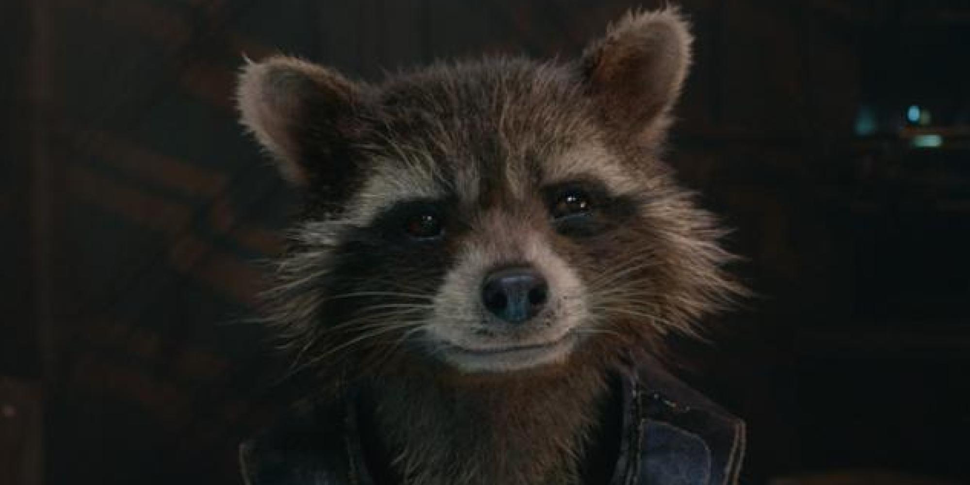 rocket raccoon teddy