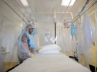 8 Common Ebola Myths, Debunked