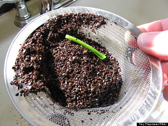coffee grounds