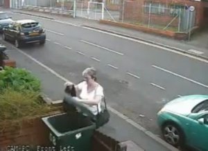 Cat In Bin