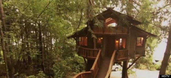 incredible treehouse