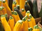 6 Things You Probably Didn't Know About Zucchini