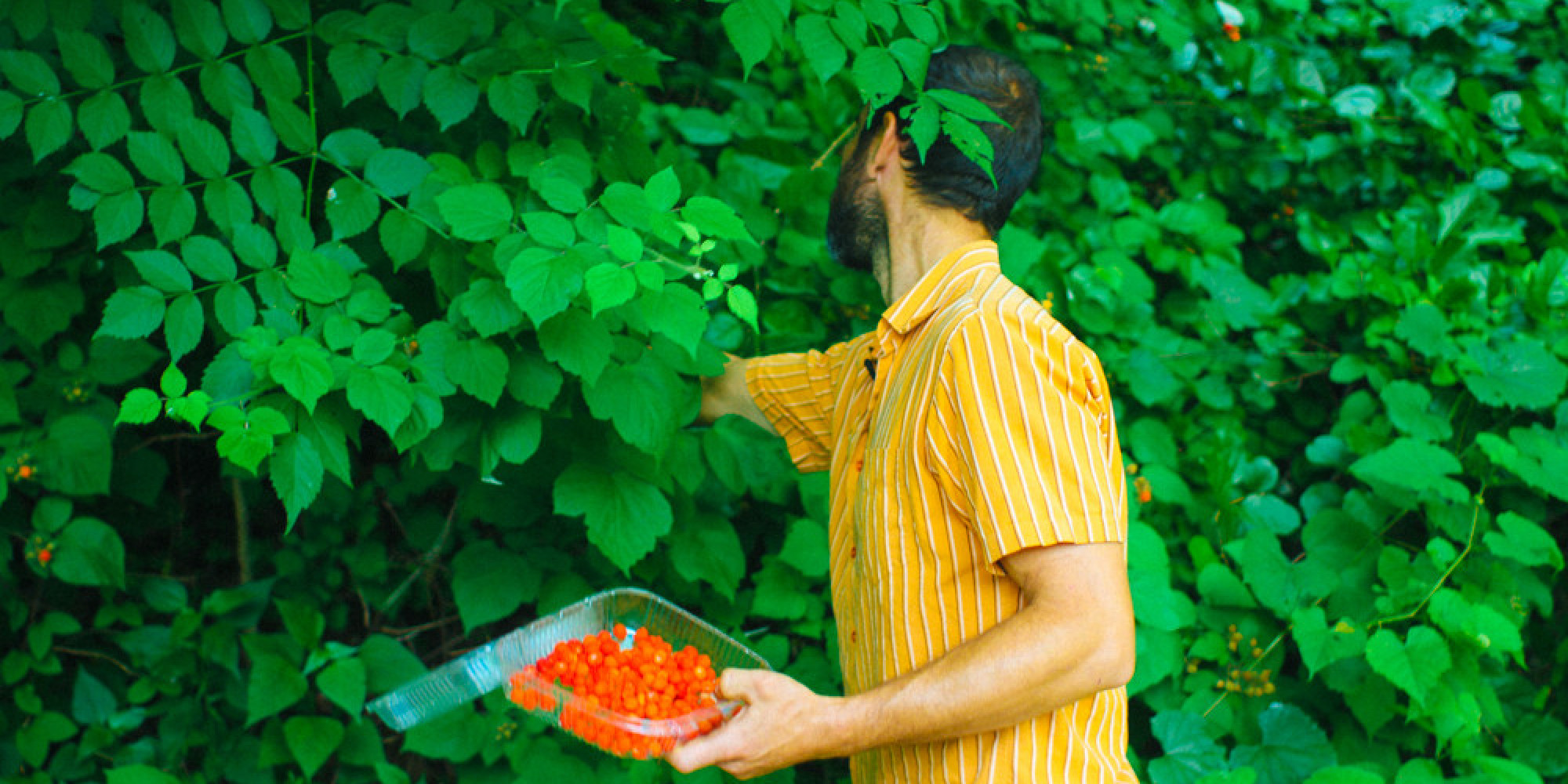 professional-foragers-live-the-most-beautiful-lives-huffpost