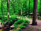 18 Photos That Will Convince You To De-Stress With An Outdoor Run