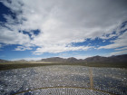 'Alarming' Rate Of Bird Deaths At New Solar Plants