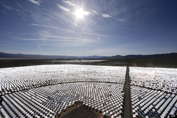 ivanpah birds
