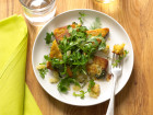 5 Things Holding You Back From Going Vegan