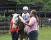Mom Asked For Pics Of Horses For Daughter With Disabilities. Bet She Didn't Expect This Surprise