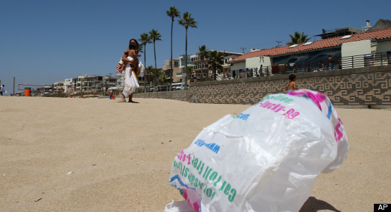 Plastic Bag Ban Rejected