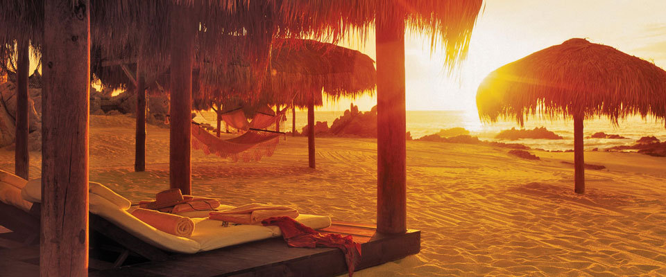 one only palmilla