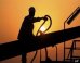 Worker Productivity