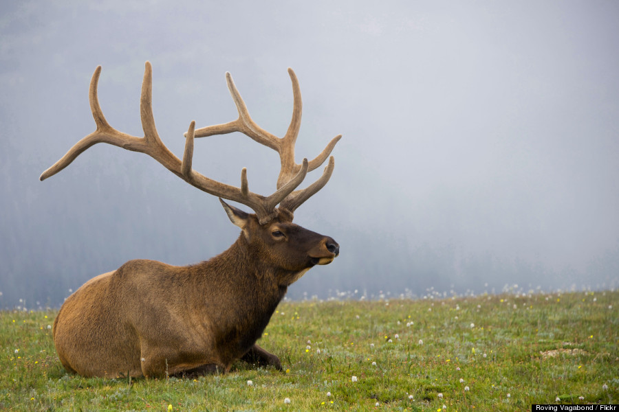 rocky mountain nps