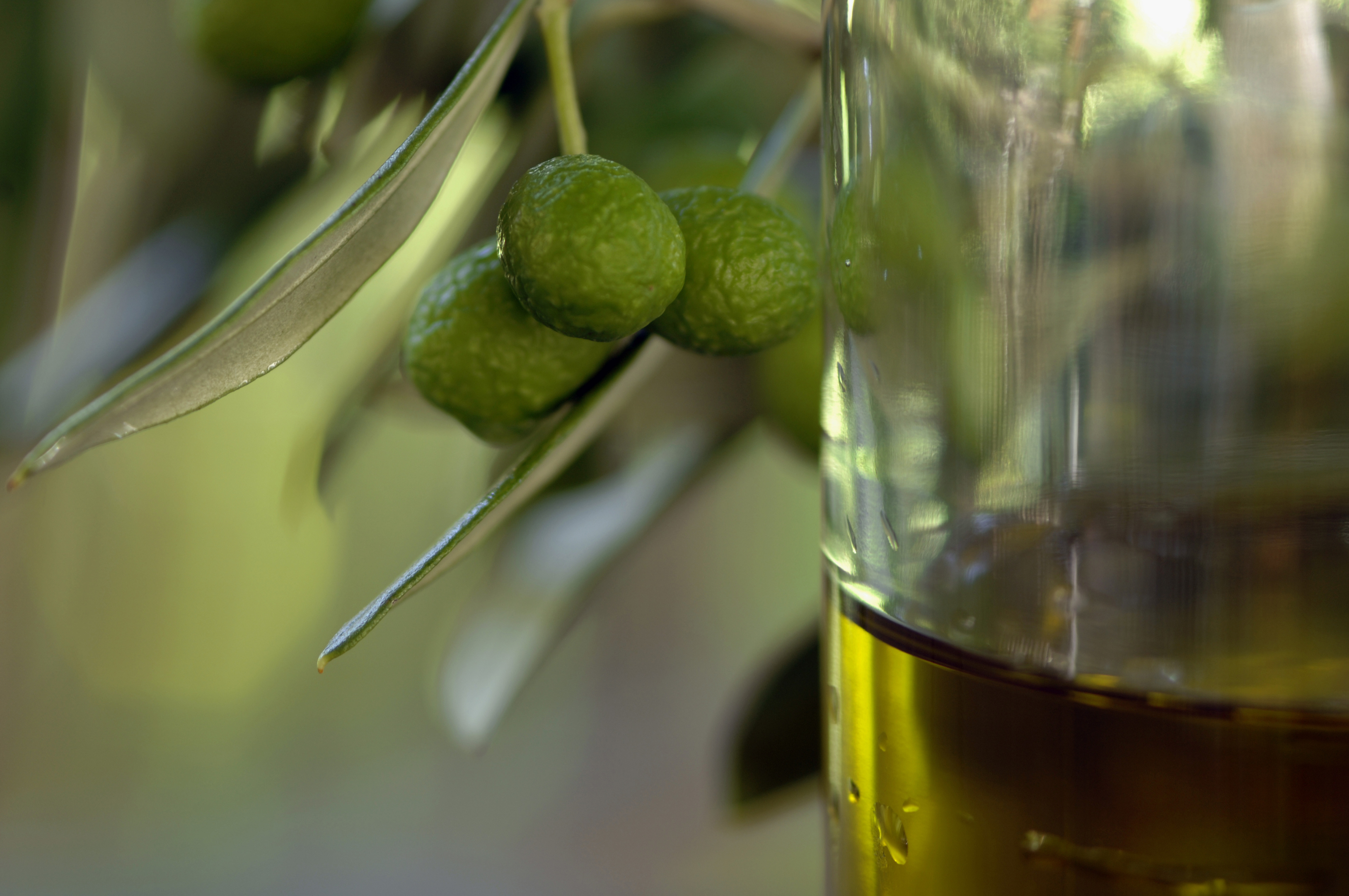 aceite de oliva