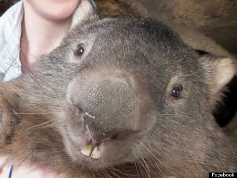 Look At This 29-Year-Old Virgin