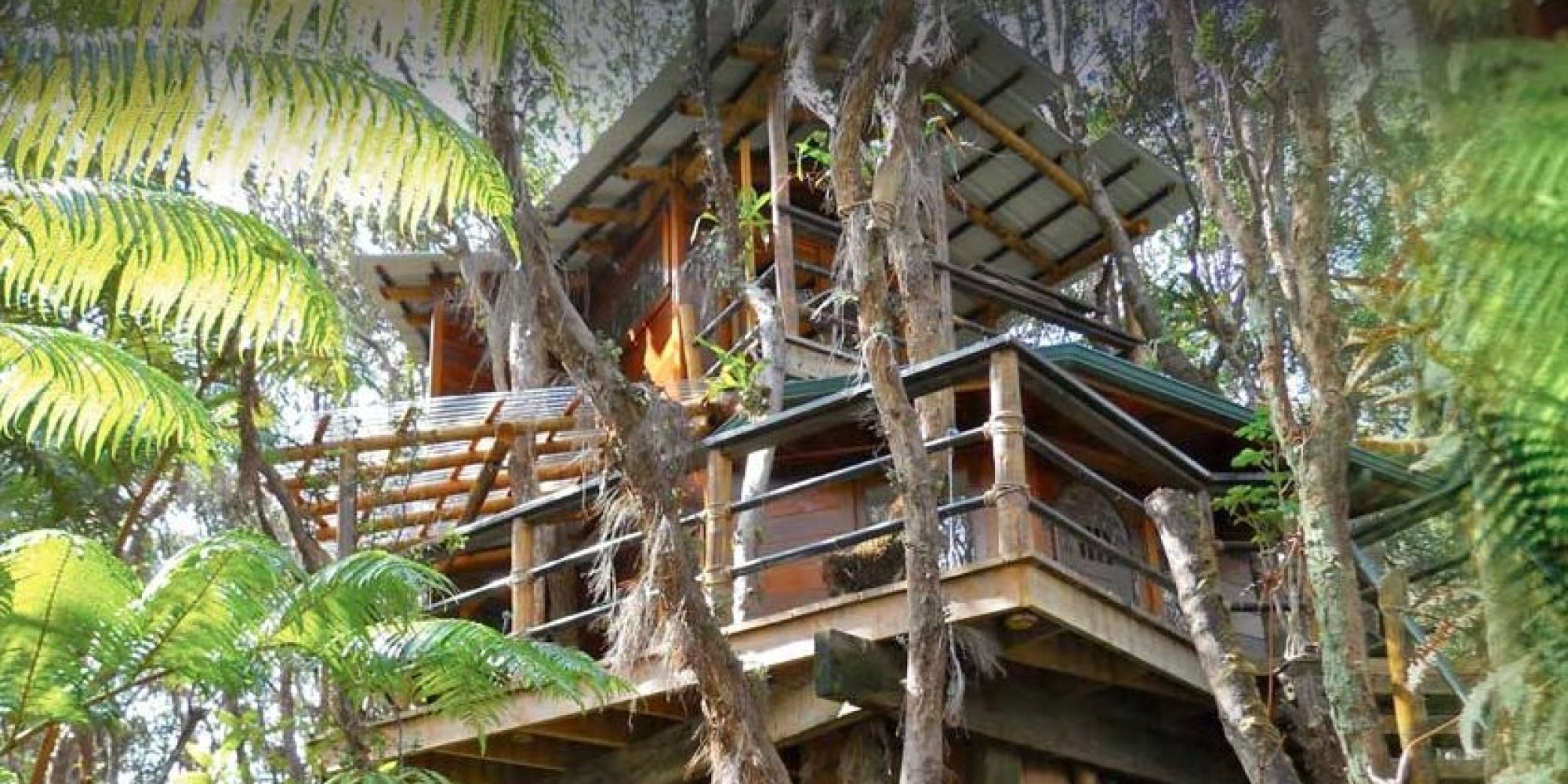 This Couple Left Everything Behind To Build A Treehouse In Hawaii 