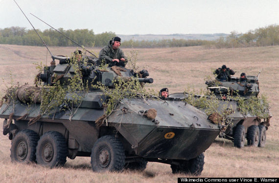 cougar canada