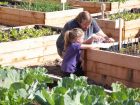 Become A Food Bank Gardener To Help Those In Need