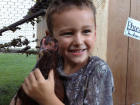 MURDER MOST FOWL! Police Chief Decapitates Boy's Pet Chicken