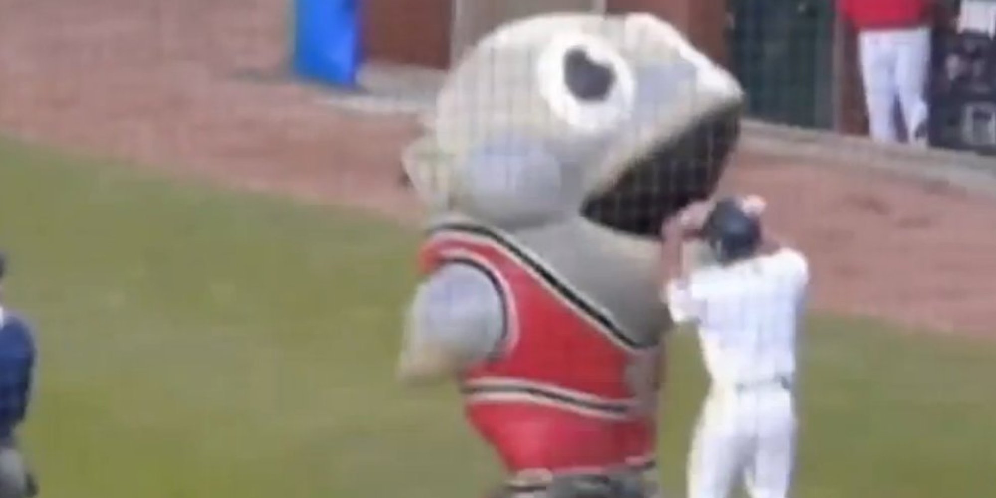 Portland Sea Dogs Mascot 'Eats' Baseball Player (Video) HuffPost UK