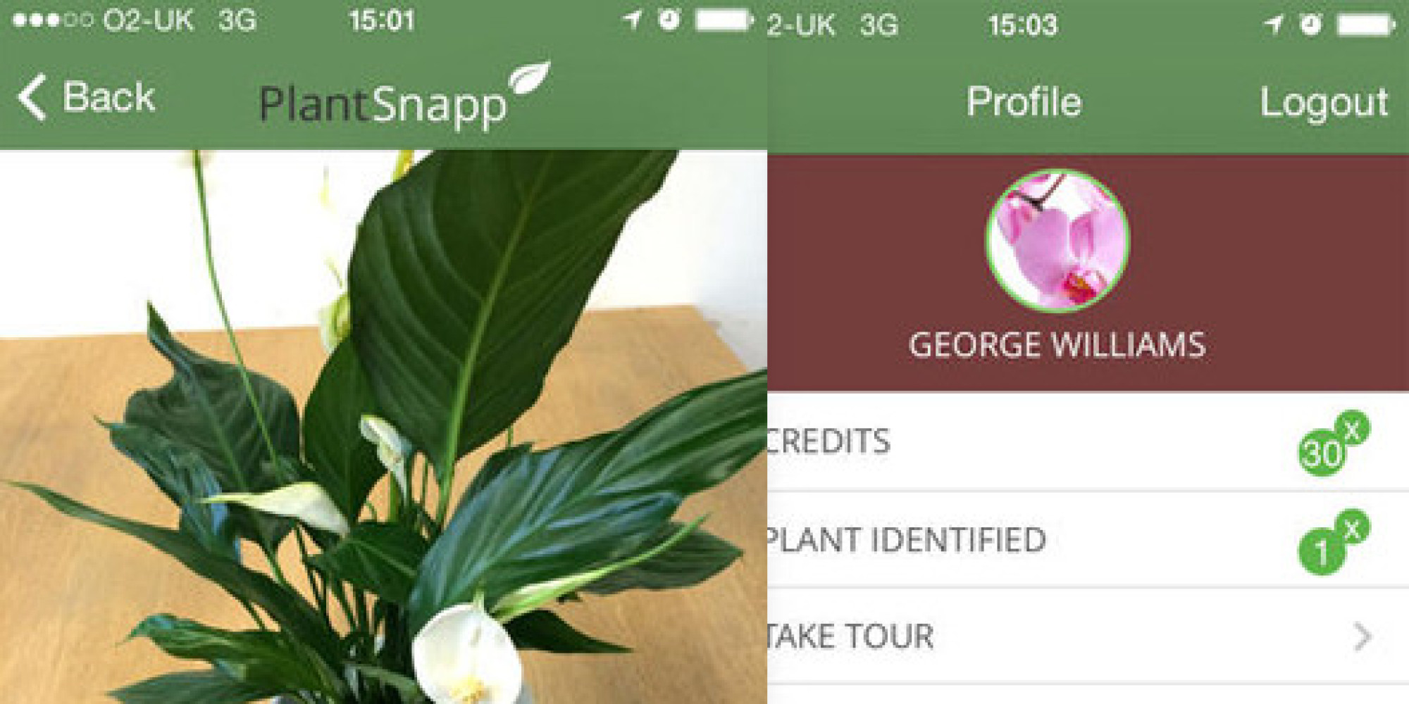 This App Can Identify Your Mystery Plants HuffPost UK
