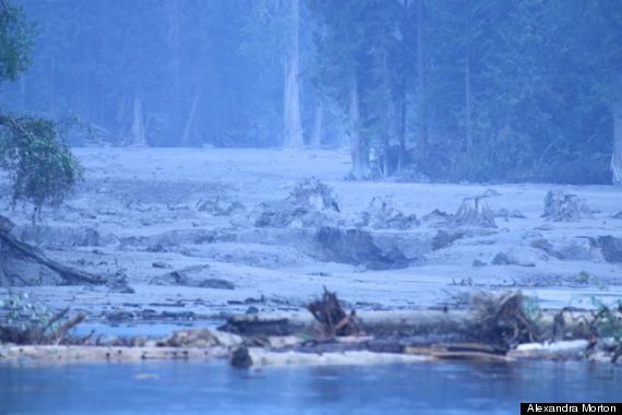 mount polley