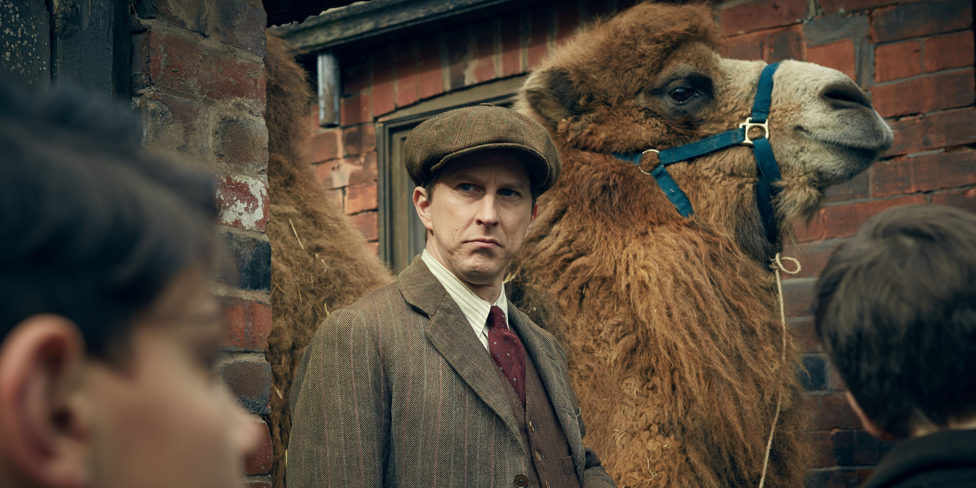 'Our Zoo' BBC Drama Draws Complaints From Animal Defenders