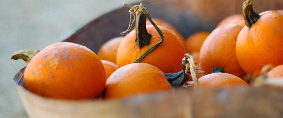 PUMPKIN HEALTH BENEFITS