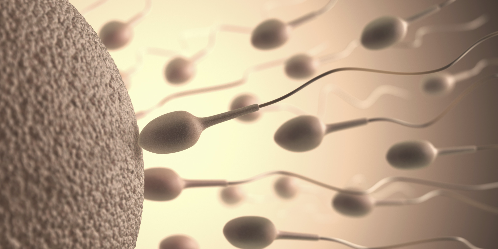 everything-you-need-to-know-about-sperm-including-male-fertility-and