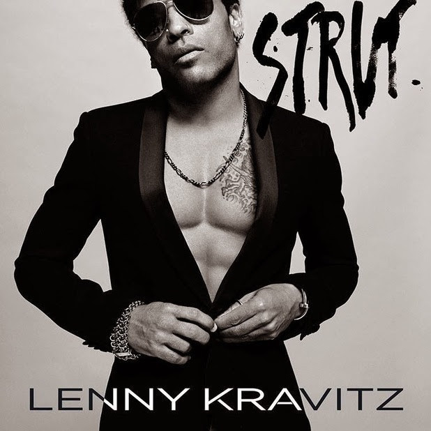 Image result for lenny kravitz albums