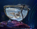 Cirque du Soleil's Amaluna: A Lost World Where Women Reign