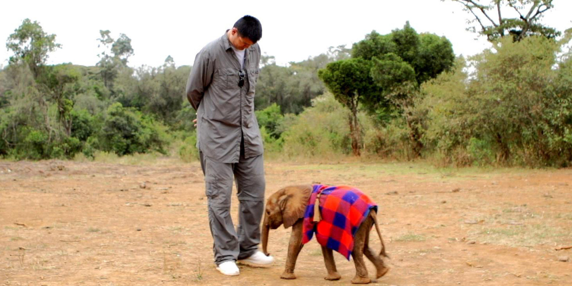 Yao Ming Vows To Save Elephants By Ending China's Ivory Trade | HuffPost