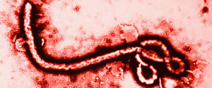Ebola Virus