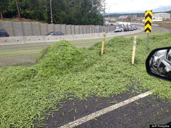 surrey green beans